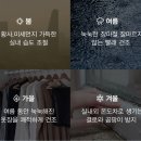 대성 쎌틱 제습기 후기
