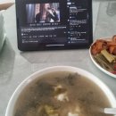 진성사료 | 진성 집순이의 삶