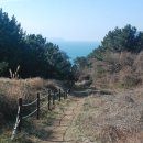 새천년공원길 티스토리