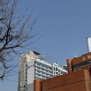 행정용 9번 | [실전] 더샵 탕정인피니티시티 2차 민간임대 전매 후기 (2): 계약서 작성/중도금대출승계