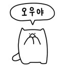 시니어워시