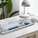 사무실정복을 위한 엑셀 사용과 문서관리 | [사무실 필수템] 저소음 기계식 키보드! 맥스틸 공식스토어 특가!