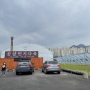 양평 공삼번지 다육농장 체험 다녀 왔어요