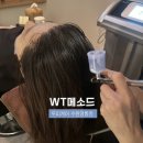 수원-1306 | 수원 영통 두피관리 맛집 지루성 두피·가려움 케어 WT메소드 후기