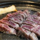 고기의 숲 이미지