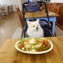 서면 전포동 브런치 버터홈 애견동반식당 후기