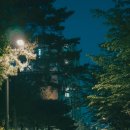 마포, 걷고싶은길 6코스 이미지