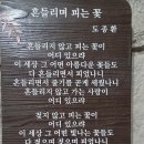 신봉2로48번길 이미지