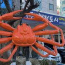 해저도시 | 부산 광안리 맛집 수율 좋은 대게 맛집 해저도시에서 가족외식 후기