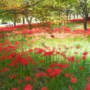 두루누릴 농장 이미지