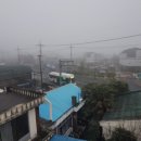 동홍동-16 이미지