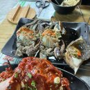 나들이손칼국수 이미지