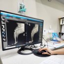 동물병원 다움 이미지