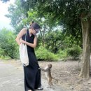 싱싱동물약국 | K장녀의 나트랑 가족 자유여행 2일차 (원숭이섬)