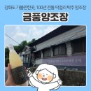 인천탁주찾아가는양조장 | 가볼만한곳 | '금풍양조장', 100년 전통의 막걸리 전통주 양조장 방문 및 지역특산주 시음, 구매 후기