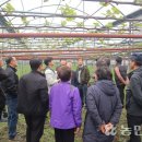 성산일출봉농업협동조합 농산물산지유통센터 이미지