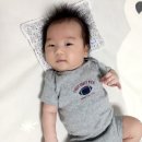 5959 내강아지 이미지