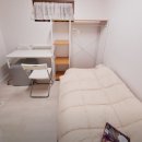 스테이 루나 이미지