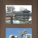 신안초등학교 이미지