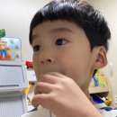 아리유치원 이미지