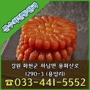 산수화 전통한과 이미지