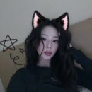 딱스 이미지