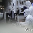 39 이미지