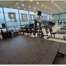 로얄바디짐 PT 백석점3호점 이미지