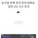 2찍들이 CIA 타령하는 이유 이미지