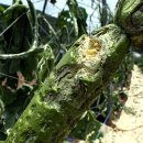 논미2리 이미지