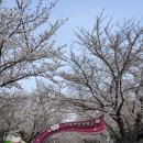 낙동제방 자전거도로 이미지