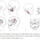 연세대학교치과대학치과병원 이미지
