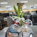 태백시청 이미지