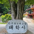 용정초등학교 | 태학사(충남 천안)~태학산, 삼태리 마애여래입상