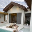 코코넛제주 | 제주도 애월 신상 감성 숙소 무료 온수풀 코코넛제주 후기