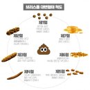 척도약국 이미지