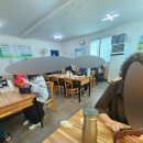 시골소풍 | 강화 교동도 현지인 맛집 소풍 시골청국장 내돈내산 후기