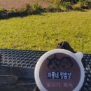 차롱네 멍밥상 이미지