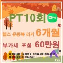 팀키스짐 이미지