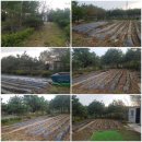 신하농장 이미지