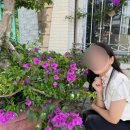 약손명가 고인물의 진솔한 후기 (웨딩관리/ 산후관리/ 에그셀런트/ 슬림상체관리/ 맞춤관리)
