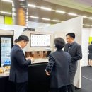 메일빈 더쎈뉴스