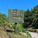 가고파별빛담아 이미지