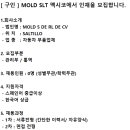 (재업)MOLD SLT 멕시코에서 관리부 모집합니다. 이미지