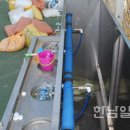 평림구장 이미지