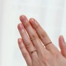 르사(LSA) 이미지