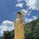 [일상] 절이 싫으면 중이 떠나야지 - 속리산 법주사 템플스테이 후기(1)