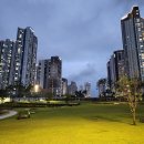 입스증후군* 이미지