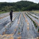 유계리 농장 이미지