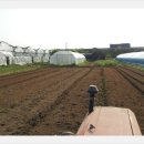 오산6-4 농로 이미지